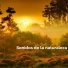 Relajacion
