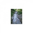 Mindfulness Healing Bgm Project