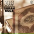 Mufti Menk