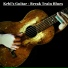 Bottleneck guitar