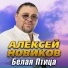 Алексей Новиков