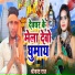 Shrikant Raj