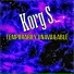 Korg S