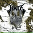 Hate