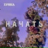 LVSKA
