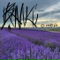 Banki