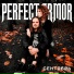 Perfect Armor