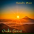 Osaka-Sunset
