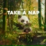 Panda Baby, Panda Sleep, Panda Music