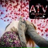 OneATV
