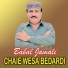 Babal Jamali
