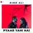 Dino Ali