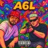 A6L