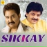 Udit Narayan