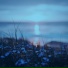 1NDark