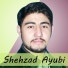 Shehzad Ayubi