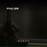 PWLSE