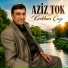 Aziz Tok