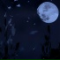 darkwisp