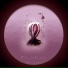 Antipode