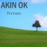 Akın Ok