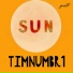 Timnumbr1