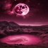 Sacred Solace