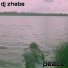 dj zhaba