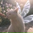 NeckFurry