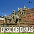 DiscoBonus