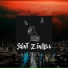 Saint Z InHell