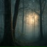 Elaris, Chinese Relaxation and Meditation