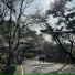 Yi Yohan