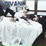 DiVans