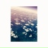 gsky.