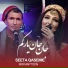 Seeta Qasemie