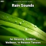 Rain Sounds No Music, Nature Sounds, Rain Sounds