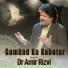 Dr. Amir Rizvi