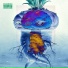 nova era de aquarium, raysenberg, D'lavarie