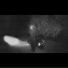 Acid Ghost