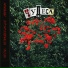 Желчь