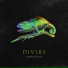 DIVIRS