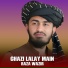 Raza Wazir