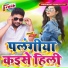 Dileep Diwana