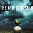 The Indigo Rising