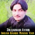 Zulqarnain Ayoub