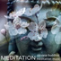 Nirvana Meditation School Master