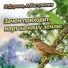 Александр Бастрыкин, Игорь Дзреев