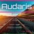 Audaris