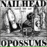 Nailhead Opossums